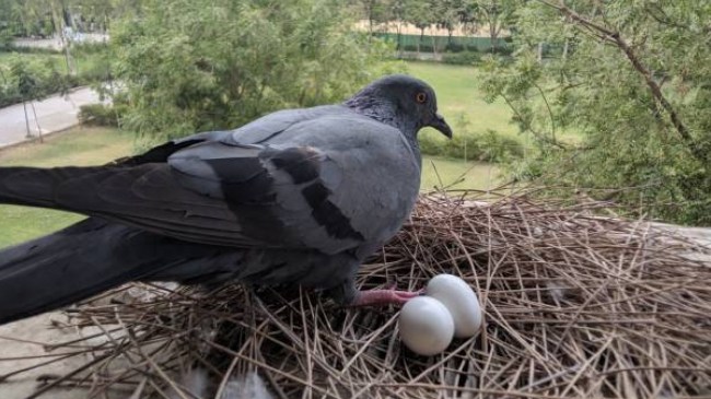 wall clock-1-2-3-4-5-6-7