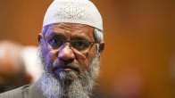 Pakistanis Troll Zakir Naik, Pakistanis Troll Zakir Naik Slam Their Govt For Honouring Him