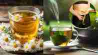 Green Tea vs Chamomile Tea