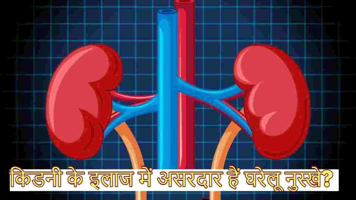 kidney health