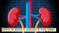 kidney health