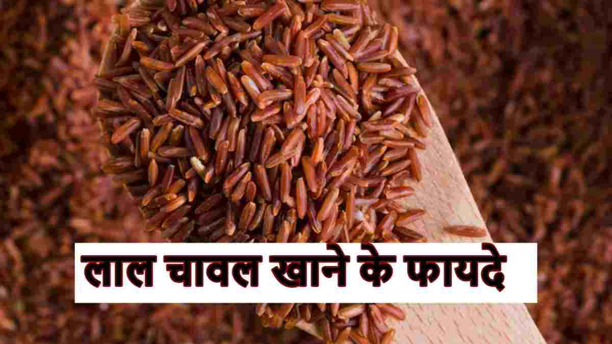 Rajamudi Rice Benefits: राजामुडी चावल के फायदे जानकर भूल जाएंगे ब्राउन और सफेद चावल का स्वाद!