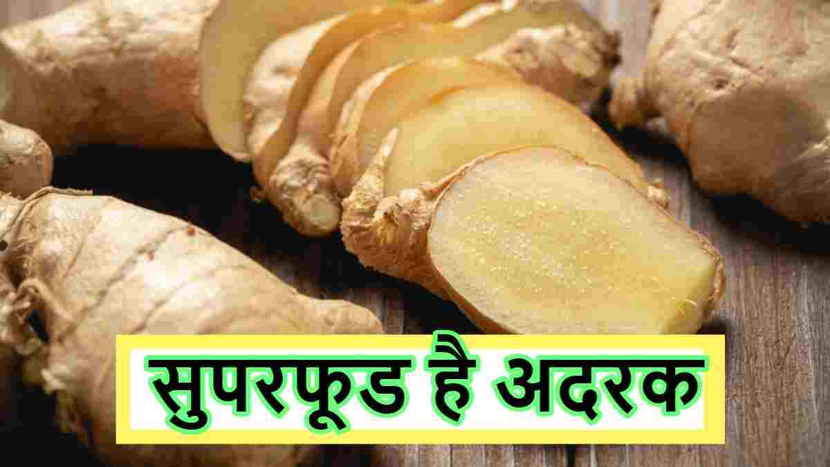 14 दिन तक रोज खाएं अदरक, मिलेंगे हैरान कर देने वाले फायदे! गैस्ट्रो एक्सपर्ट का बड़ा खुलासा