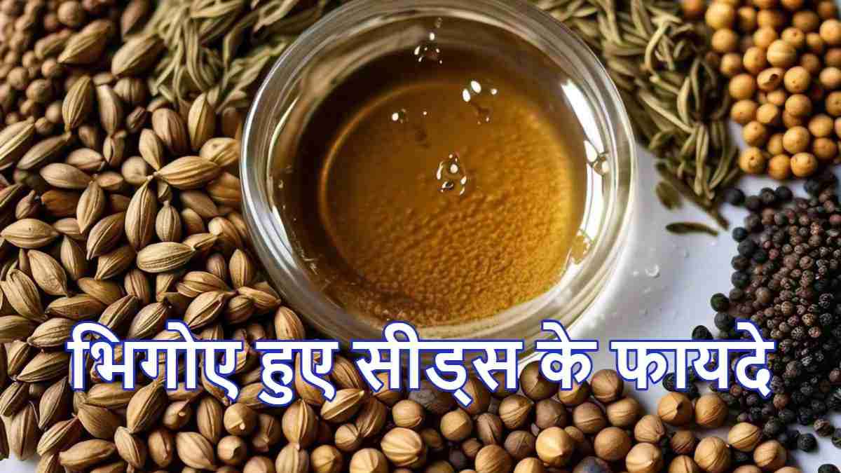 Soaked Seeds Benefits: रातभर भिगोकर खाएं ये 5 बीज, सेहत में दिखेगा चमत्कार, जानें कैसे