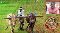 Agriculture Minister Raghav Patel