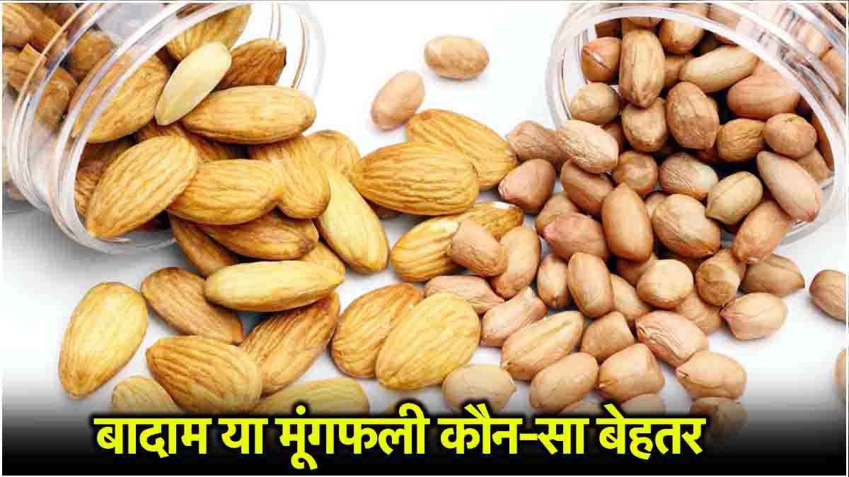 Peanut Vs Almond: बादाम या मूंगफली किसमें होता है ज्यादा प्रोटीन? जानें दोनों में अंतर