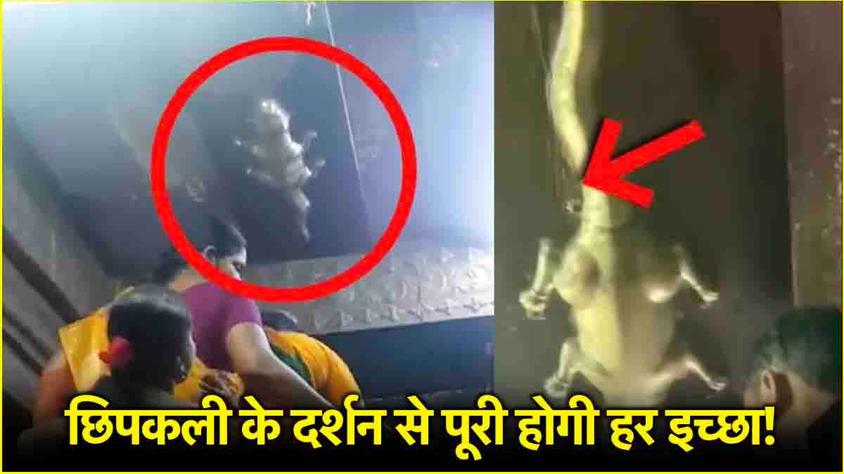 Hindu Temples: श्री विष्णु के इस मंदिर में होती है छिपकलियों की पूजा, दर्शन मात्र से दूर होंगे पाप!