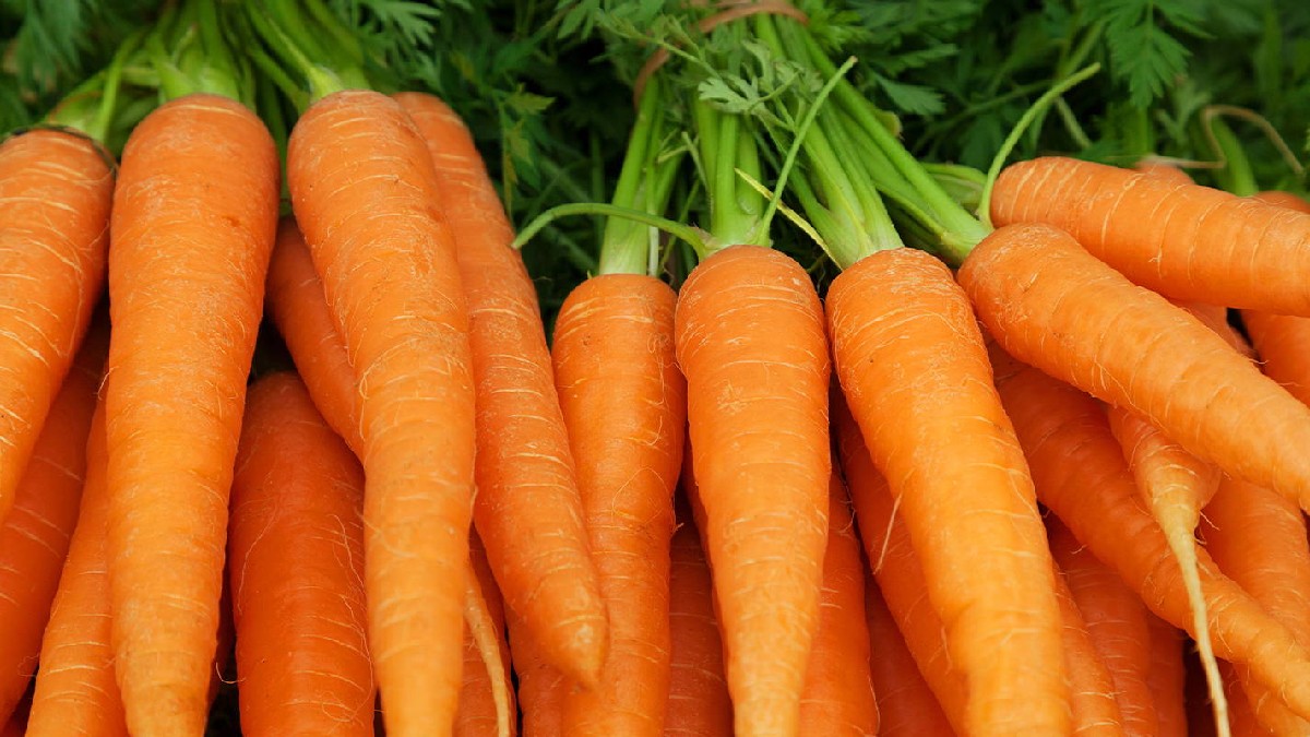 Carrots