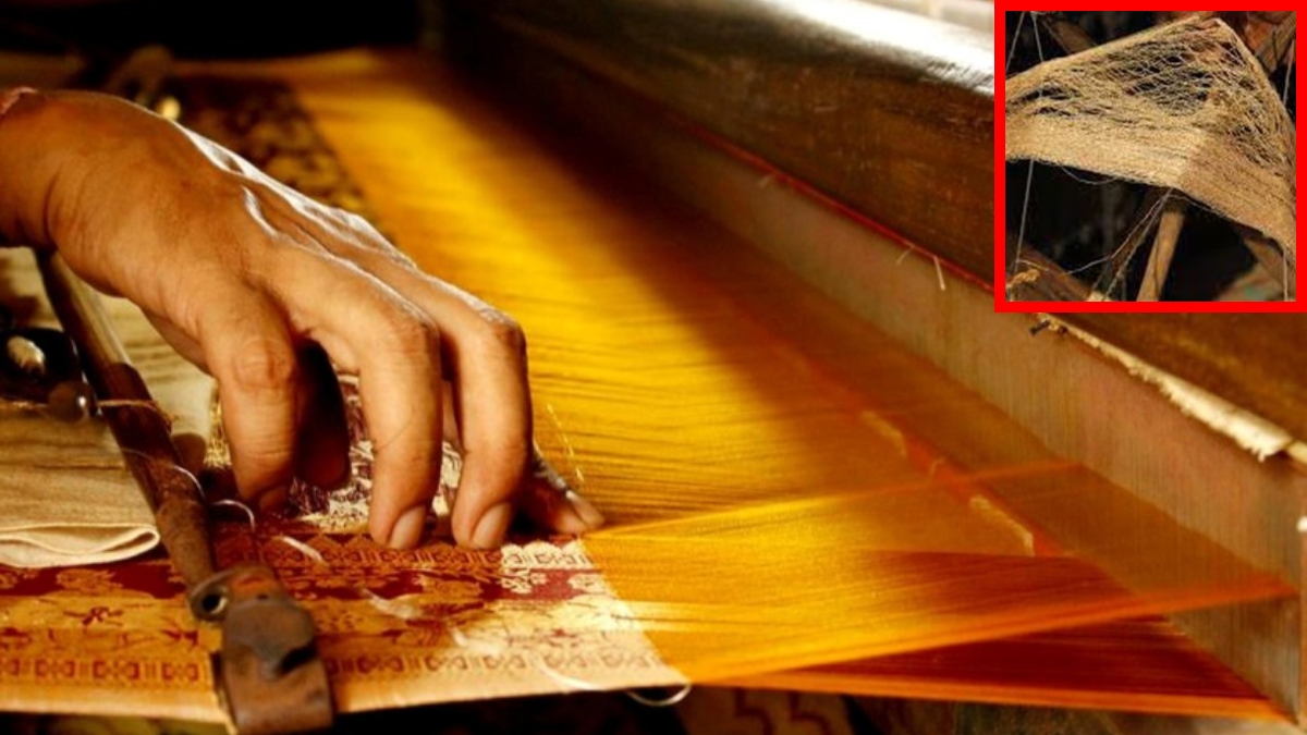 Cocoon Bank For Reviving Silk Industry