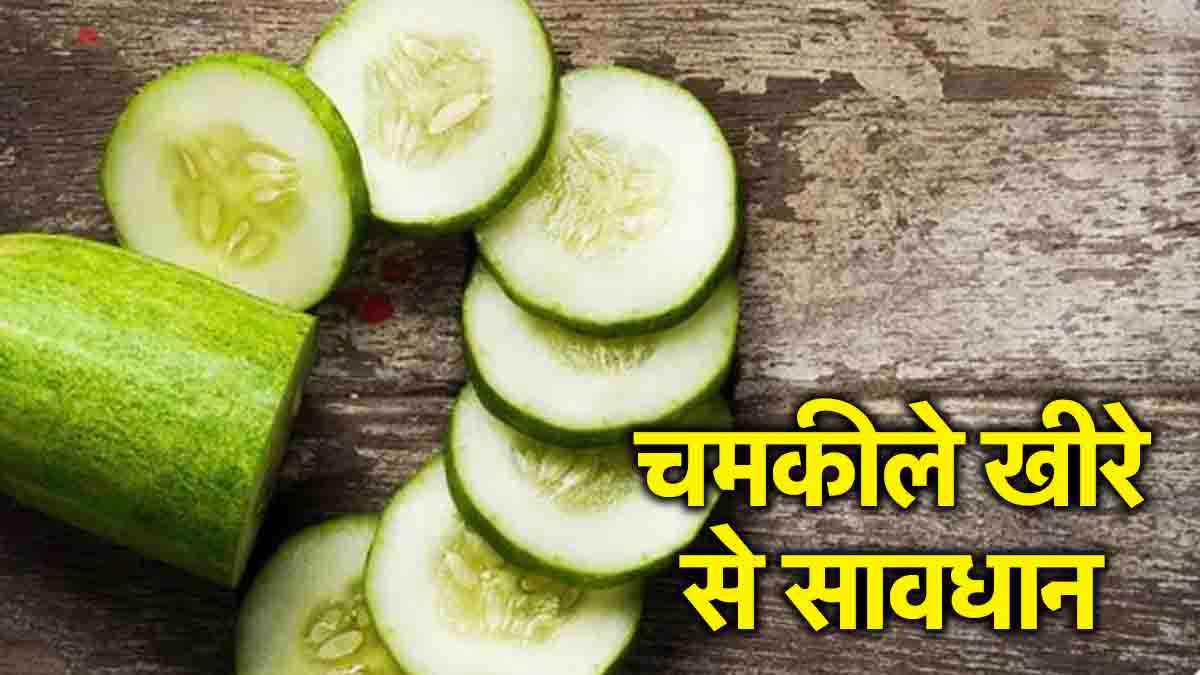 चमक वाले खीरे सेहत के लिए सही या नहीं? कहीं आप तो नहीं कर रहे ये गलती
