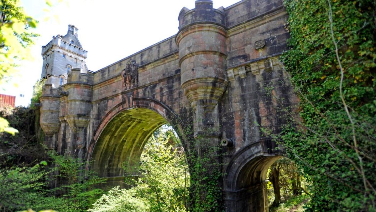 Dog Suicide Bridge 