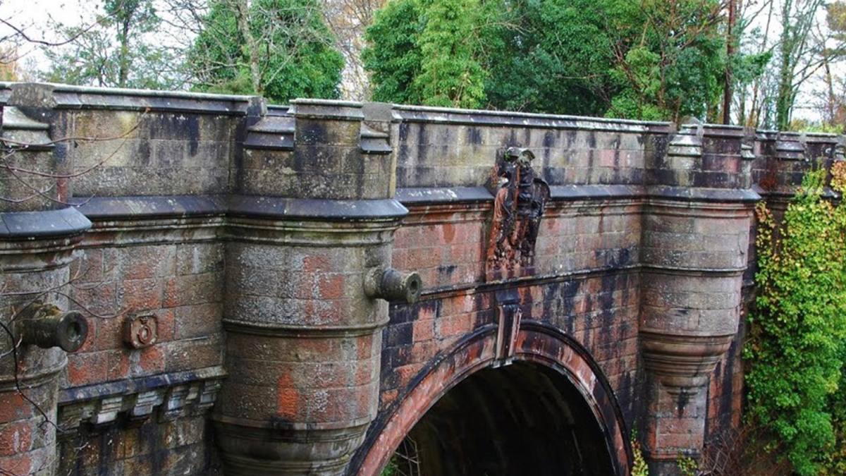 Dog Suicide Bridge 