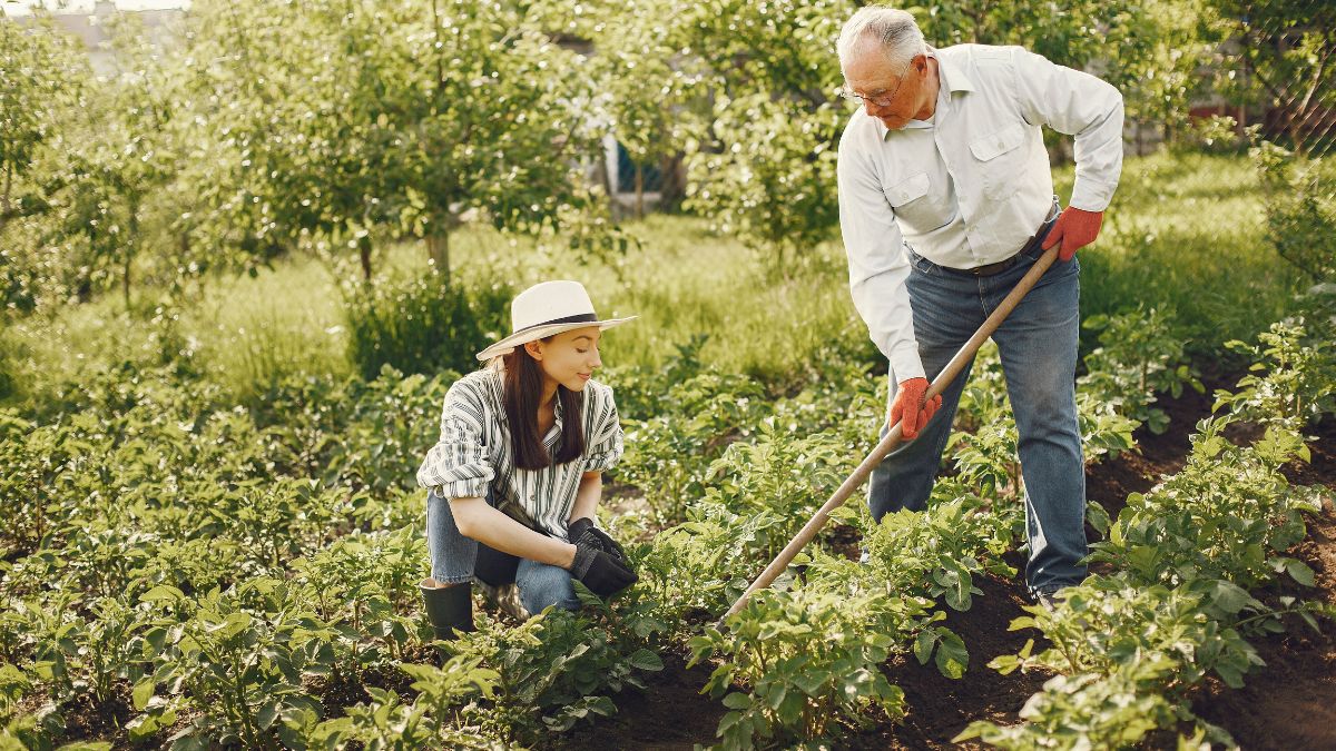 Gardening Representative Image