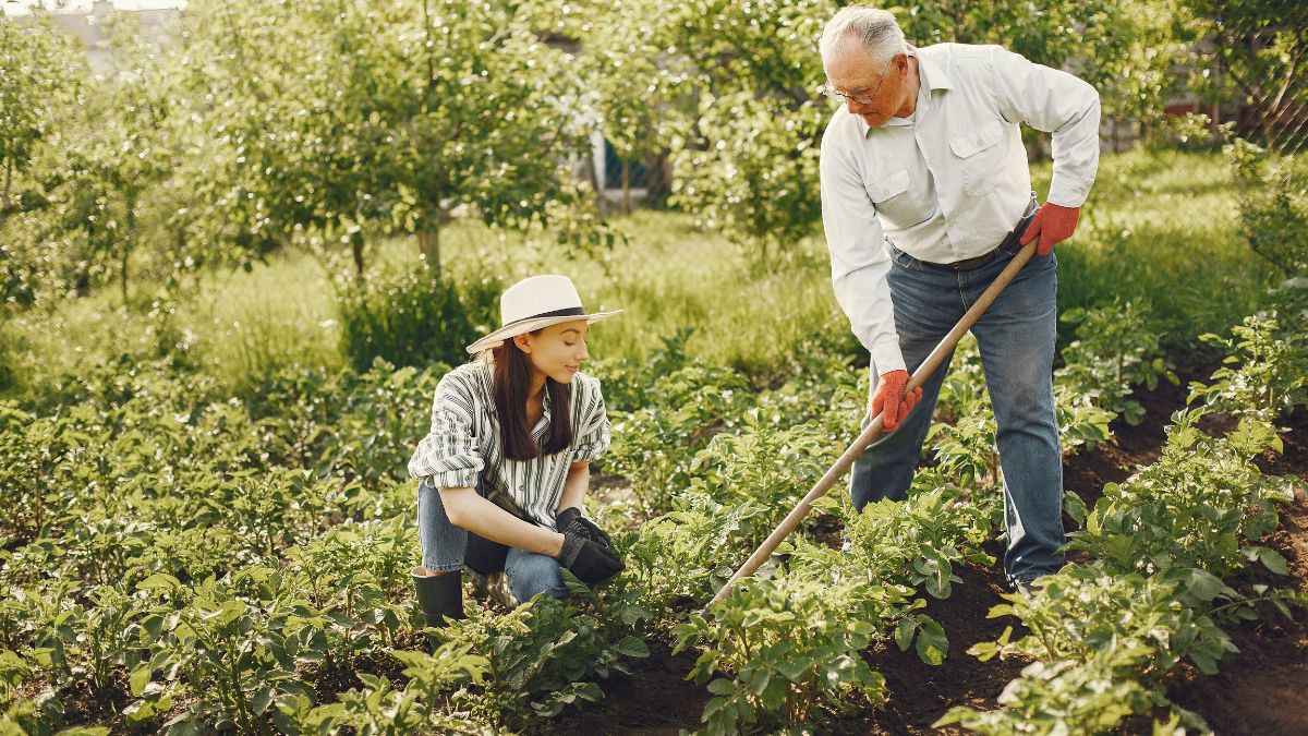 Gardening Representative Image Gardening Representative Image