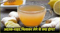 Ginger and Honey Water Benefits