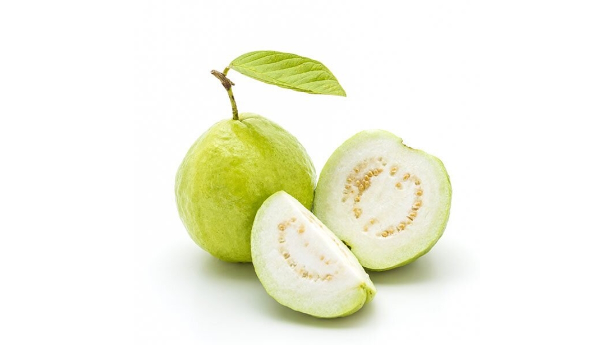 Guava-1