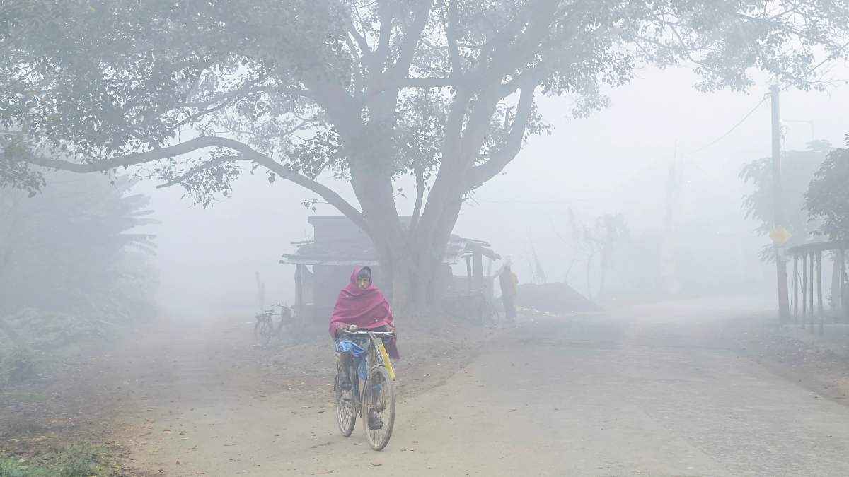 Gujarat Weather Update (11)