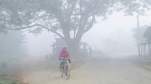 Gujarat Weather Update (11)