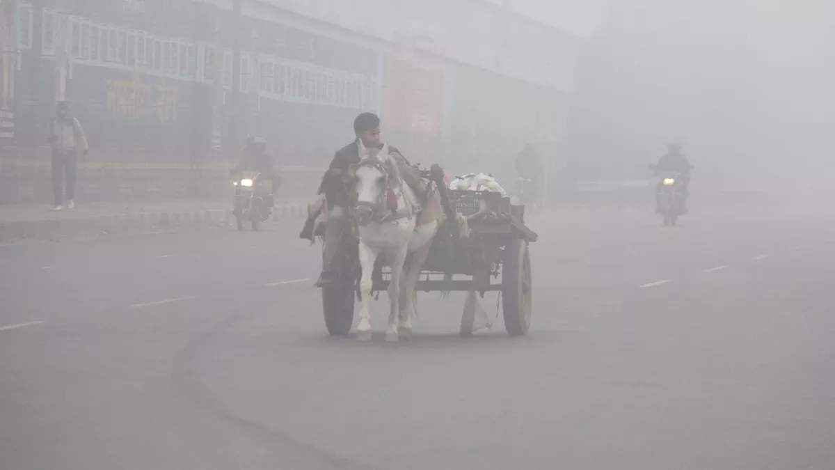 Gujarat Weather Update (12)