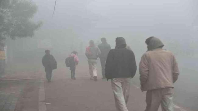 Gujarat Weather Update (4)