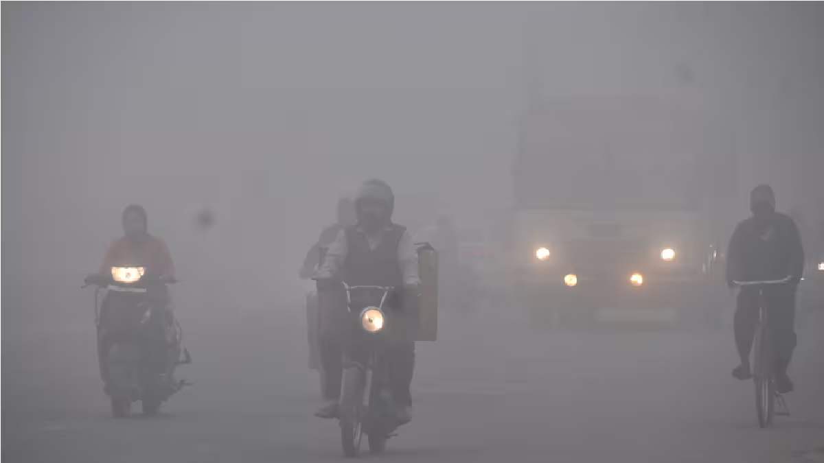 Gujarat Weather Update (5)