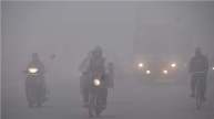 Gujarat Weather Update (5)