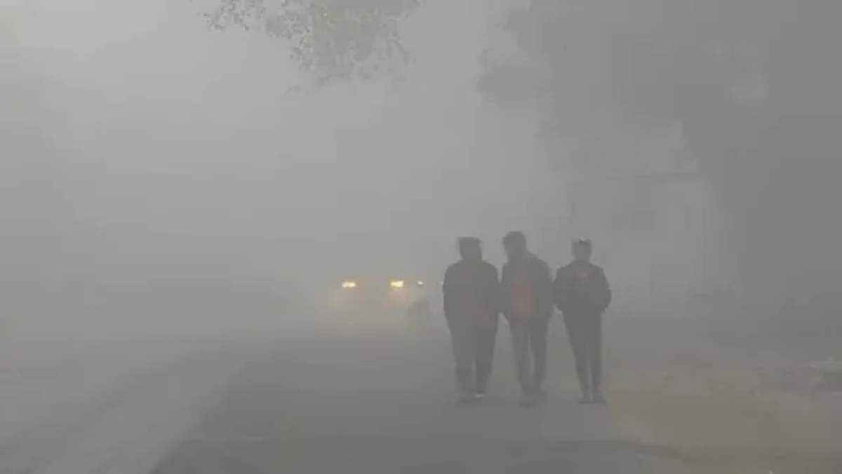 Gujarat Weather Update (7)