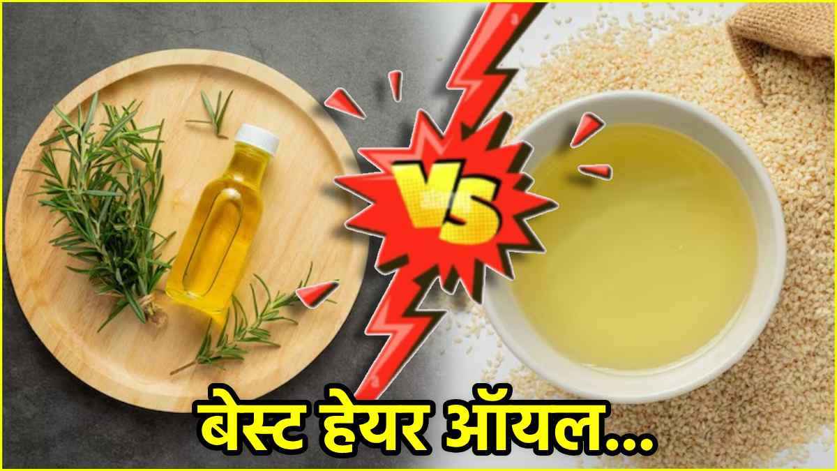 Rosemary Oil Vs Sesame Oil: कौन-सा तेल बालों के लिए जबरदस्त?