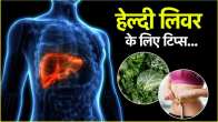 Liver Diseases Causes