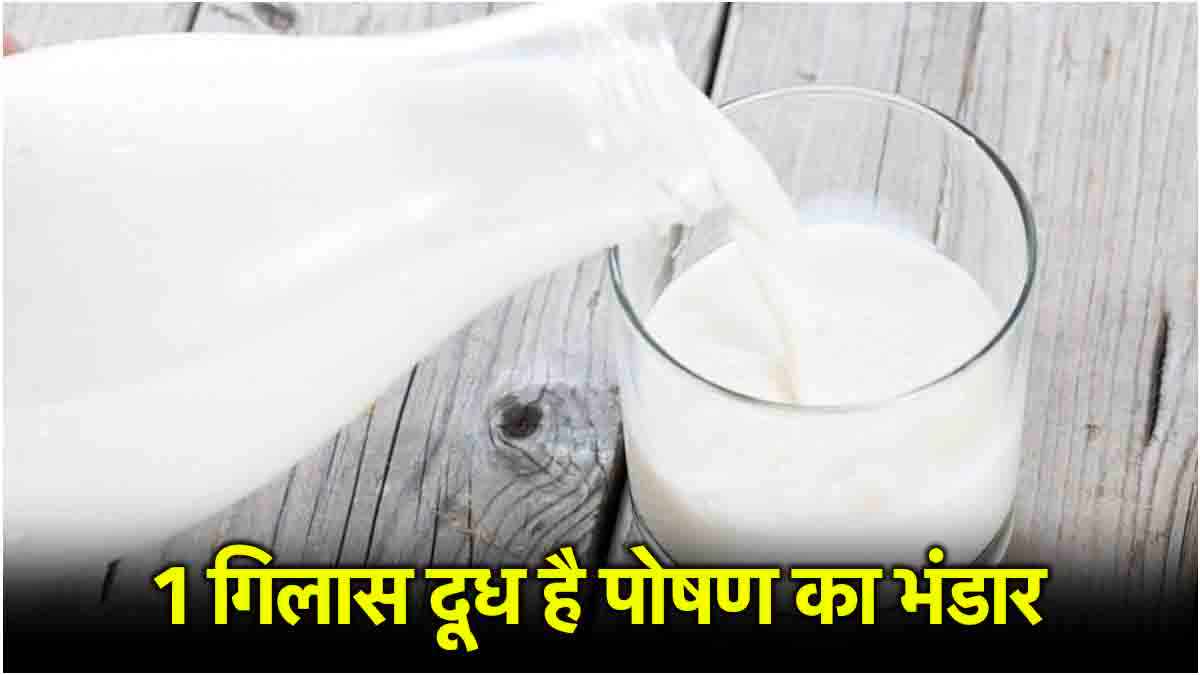 Milk Benefits: रोज दूध पीना क्यों जरूरी, डाइटीशियन से जानें हेल्थ बेनेफिट्स