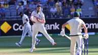 Mitchell starc Harshit rana