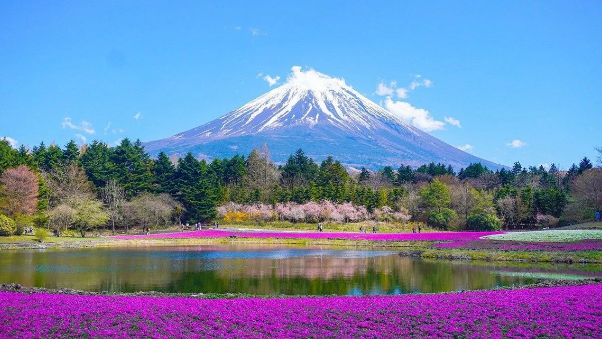 Mount Fuji 