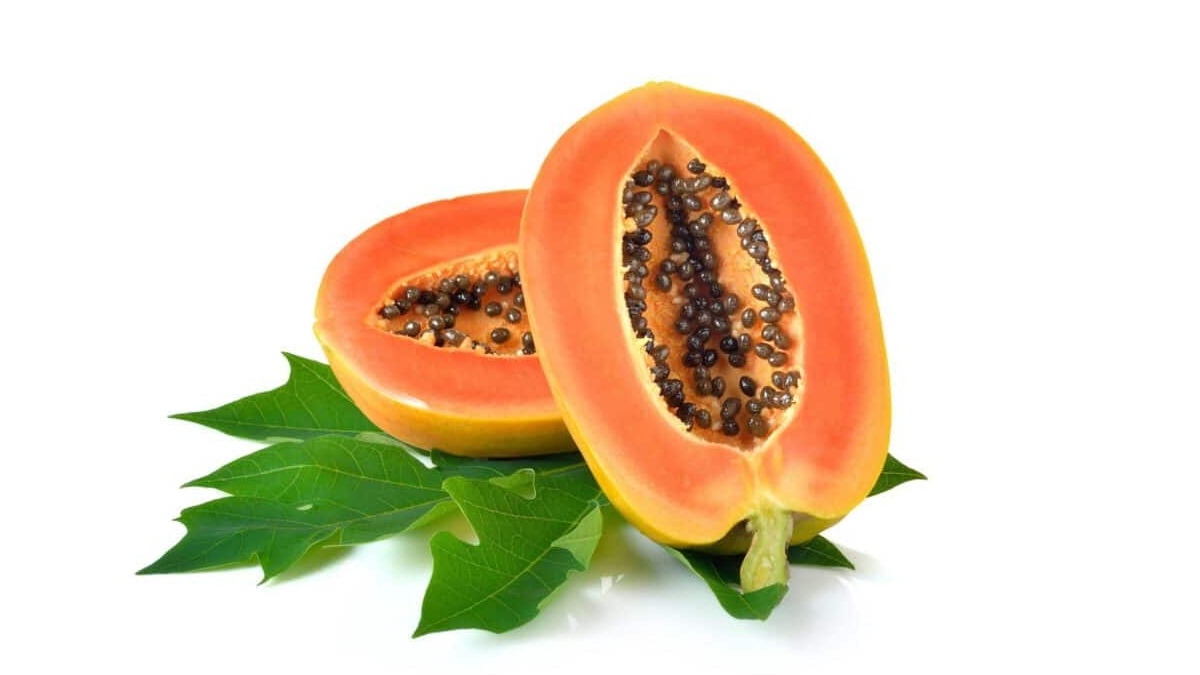 Papaya