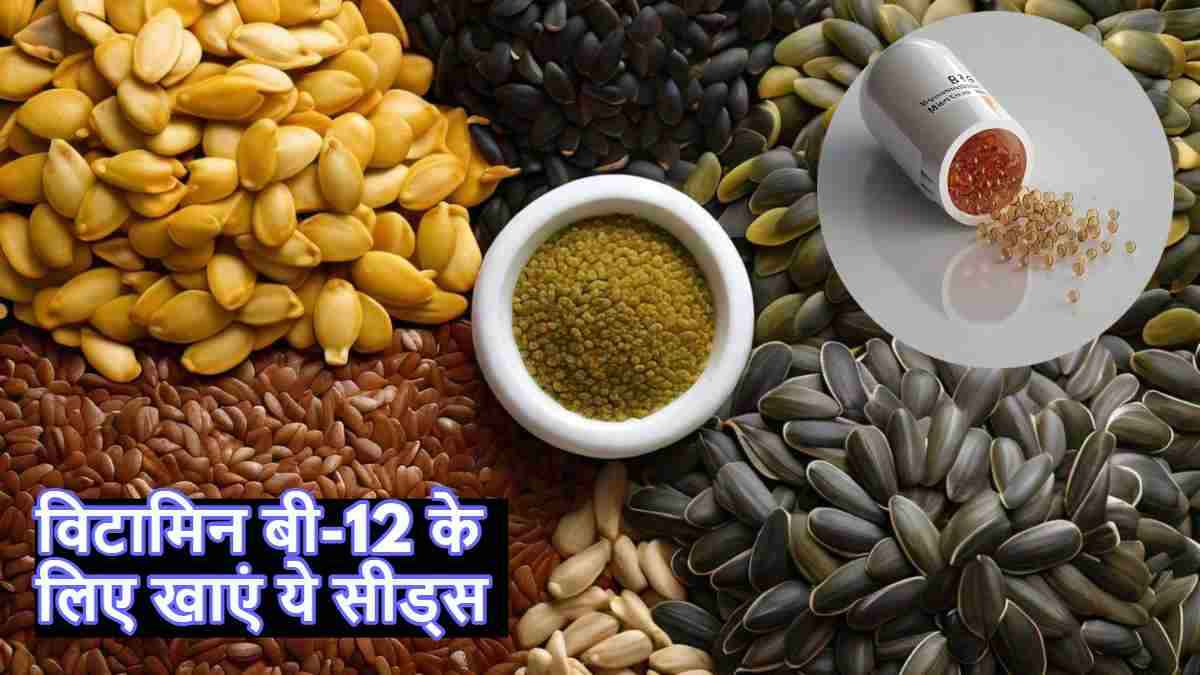 शरीर में विटामिन बी-12 की कमी को पूरा करने के लिए खाएं ये बीज, मिलेंगे ढेरों फायदे!