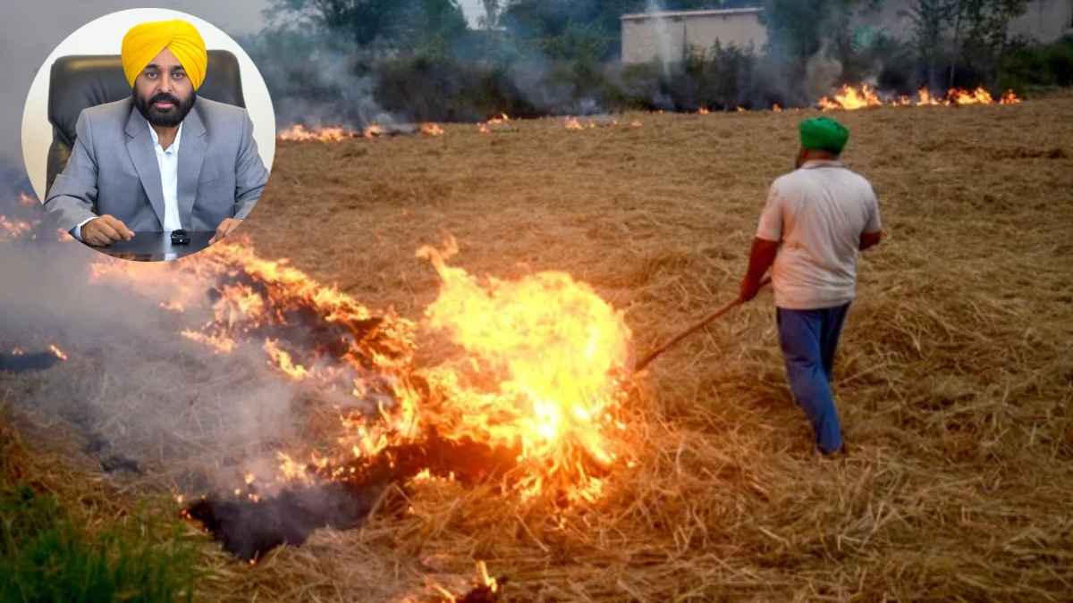 पराली जलाने को लेकर एक्शन में आई पंजाब सरकार, 9 अधिकारियों पर केस दर्ज