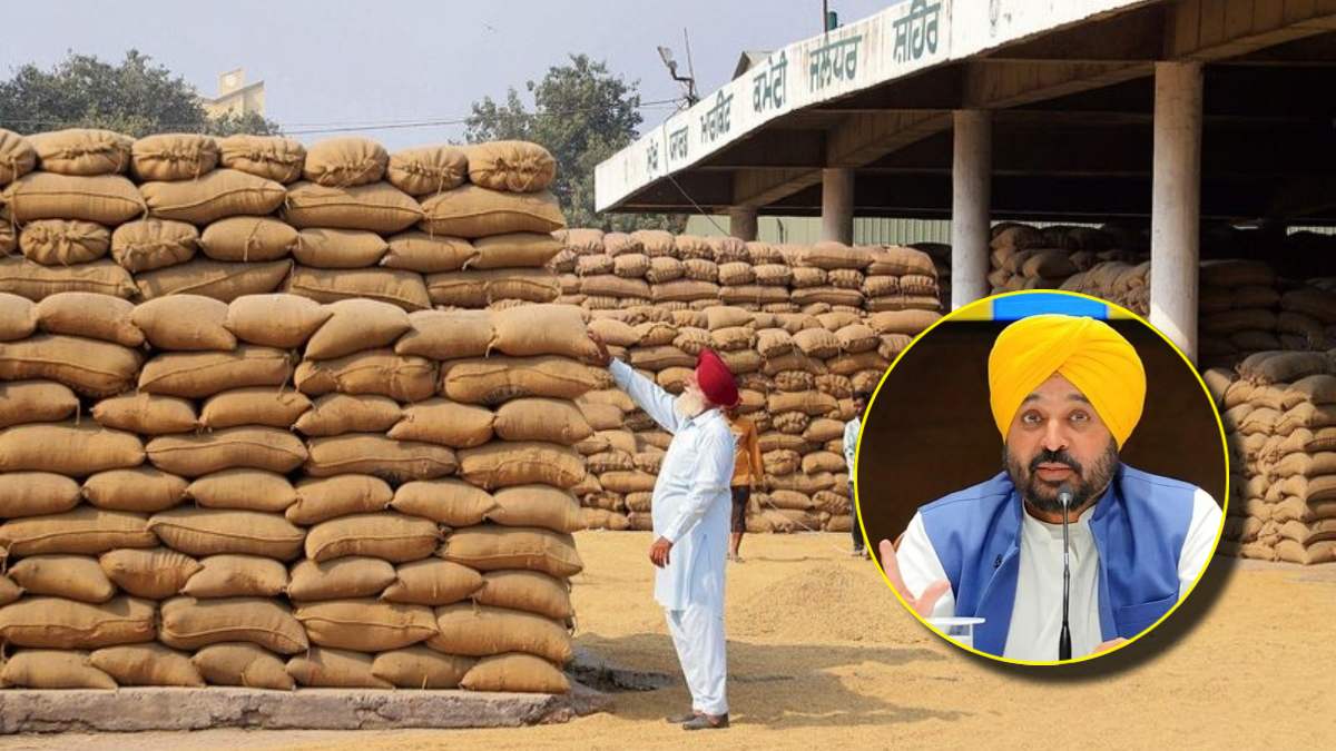 Punjab Govt Paddy Procurement