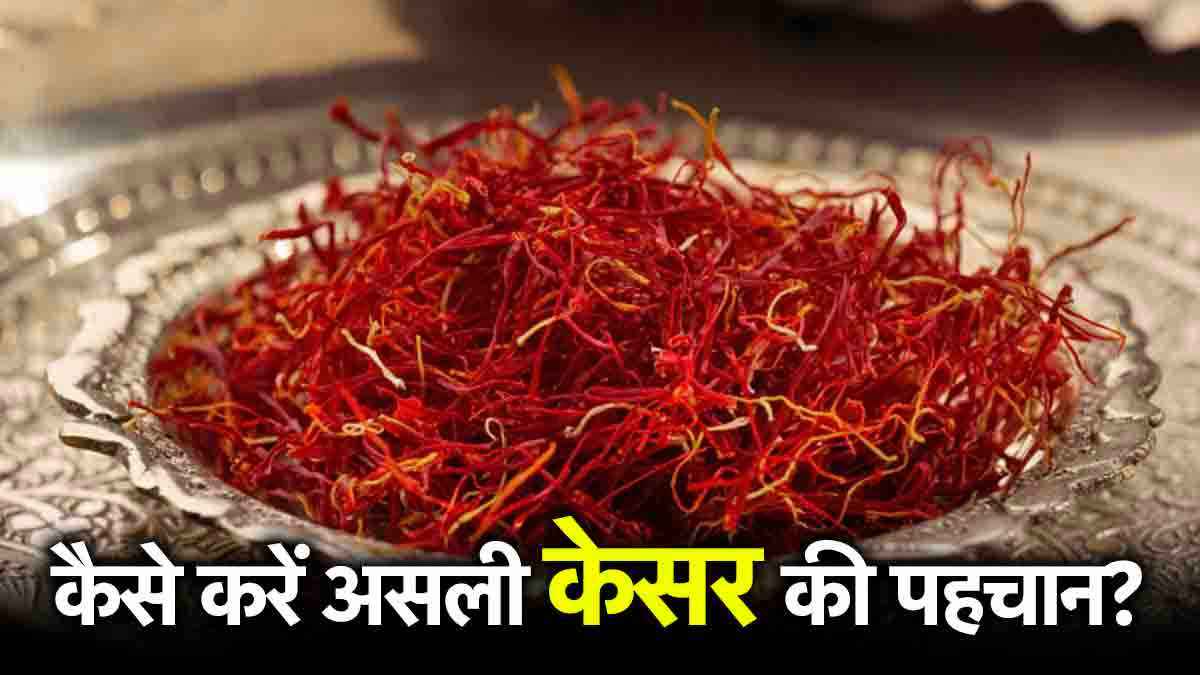 Real or Fake Kesar: केसर असली है या नकली? घर बैठे ऐसे करें पहचान, जानें 5 तरीके