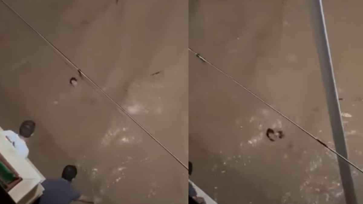 Spain Flood Viral Video