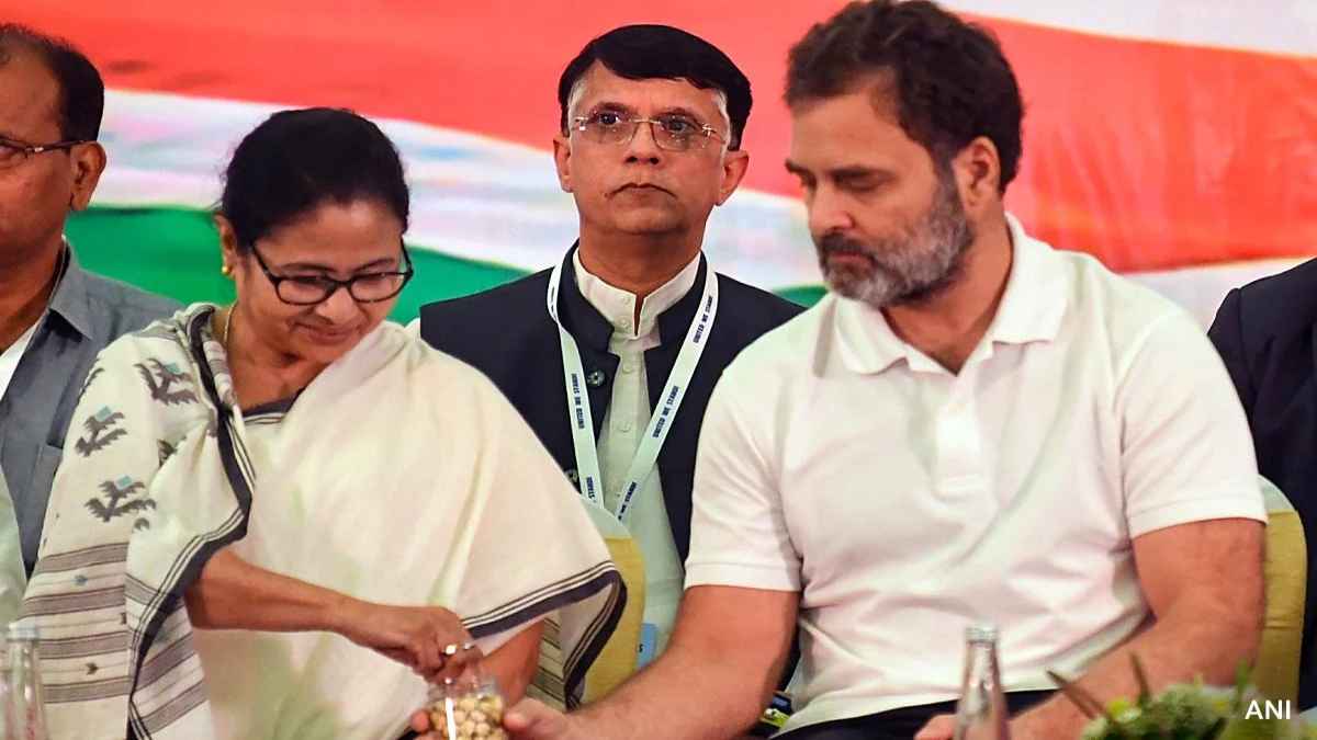 'देश में और भी मुद्दे संसद चलने दो...', कांग्रेस-TMC आमने-सामने, INDIA में फूट