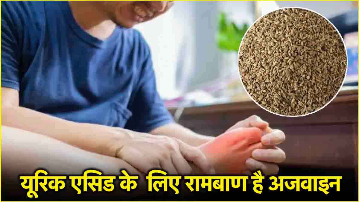 Celery Benefits: यूरिक एसिड की समस्या से हैं परेशान? इन 3 तरीकों से करें अजवाइन को डाइट में शामिल