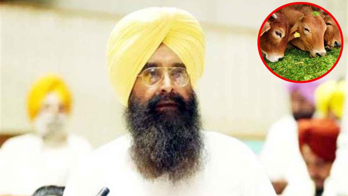 टीकाकरण अभियान के तहत 48% से ज्यादा जानवरों को लगी वैक्सीन, पंजाब कृषि मंत्री गुरुमीत सिंह खुडियां का दावा