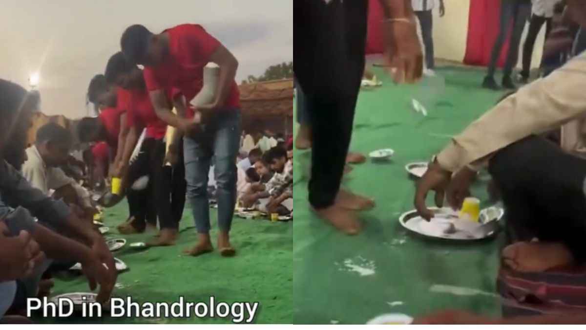 PhD in Bhadarology: ऐसे बांटी प्लेट की दंग रह गए लोग.. कहा - AI को भी लेनी चाहिए ट्रेनिंग