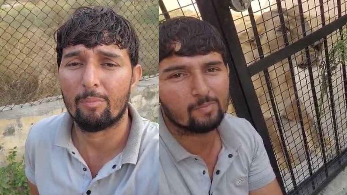 शेरनी के साथ सेल्फी लेना पड़ गया भारी,  शख्स बोला- यमराज के हो गए दर्शन
