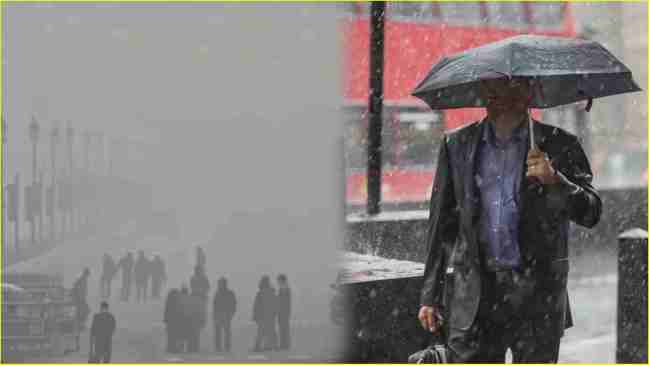 Weather Forecast Weather Forecast