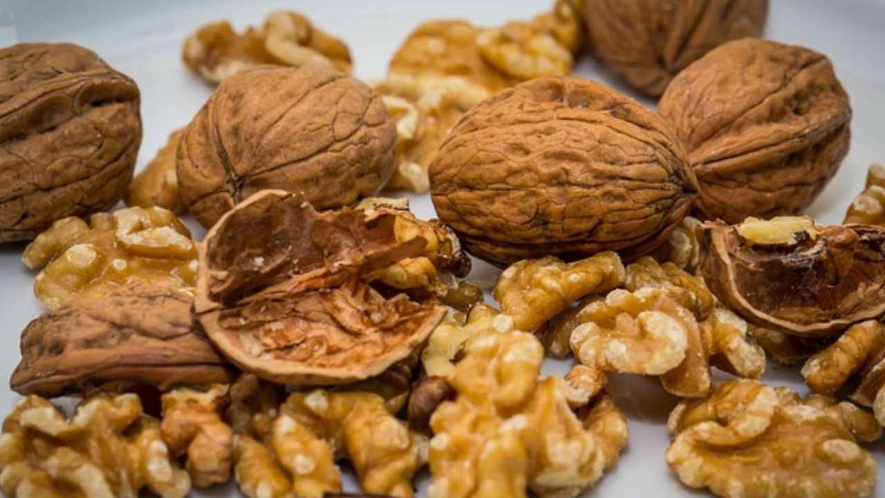 Walnuts Benefits: अखरोट को करें डेली डाइट में शामिल, फायदे देख आप भी कहेंगे अरे वाह...