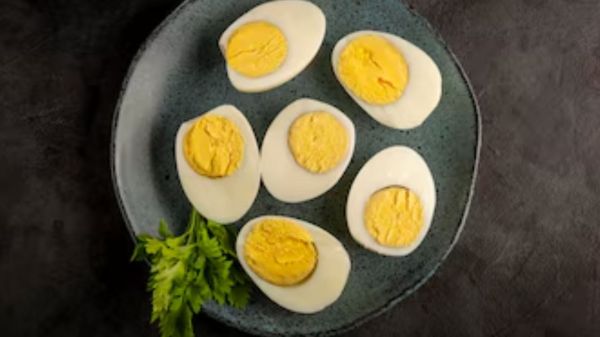 Egg Benefits: सर्दियों में 21 दिन तक लगातार खाए दो उबले अंडे, बॉडी रहेगी  हेल्दी और फिट - Eat two boiled eggs continuously for 21 days in winter, the  body will remain
