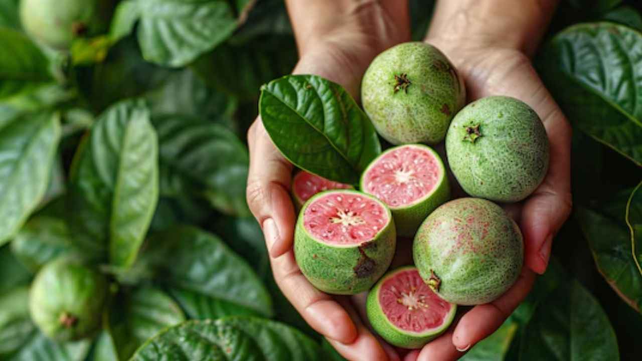 Best Fruit For Diabetes: डायबिटीज के मरीजों के लिए रामबाण है ये फल, मिलते हैं कमाल के फायदे  