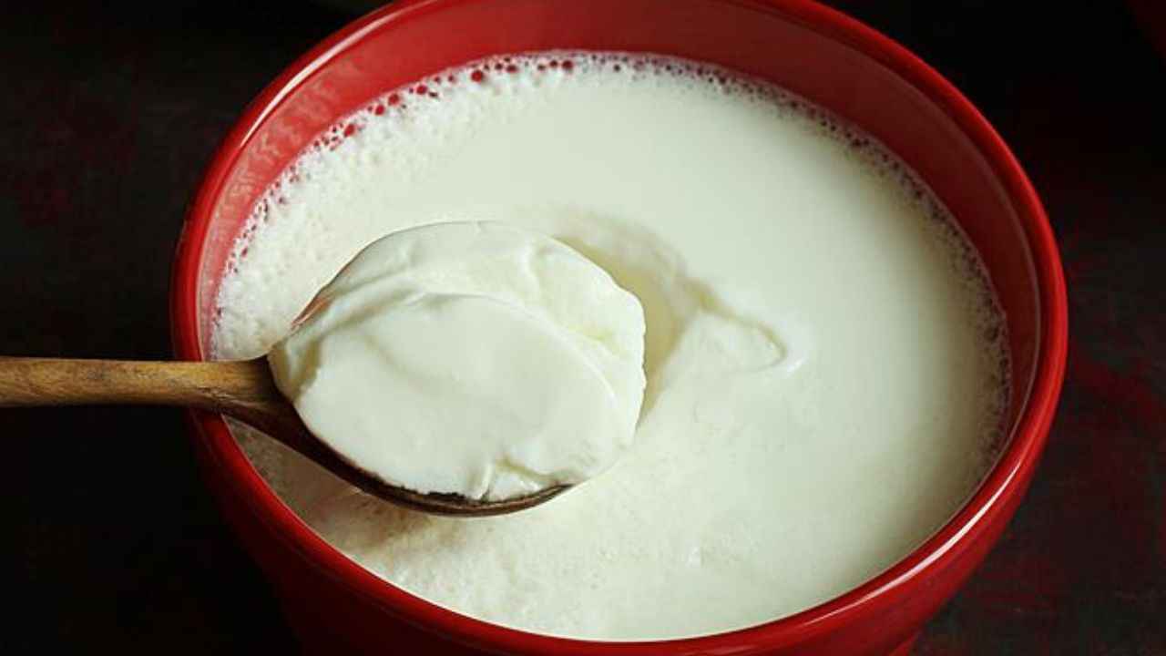 Yogurt Benefits: सर्दियों में दही खाना सही या नहीं? यहां जानें