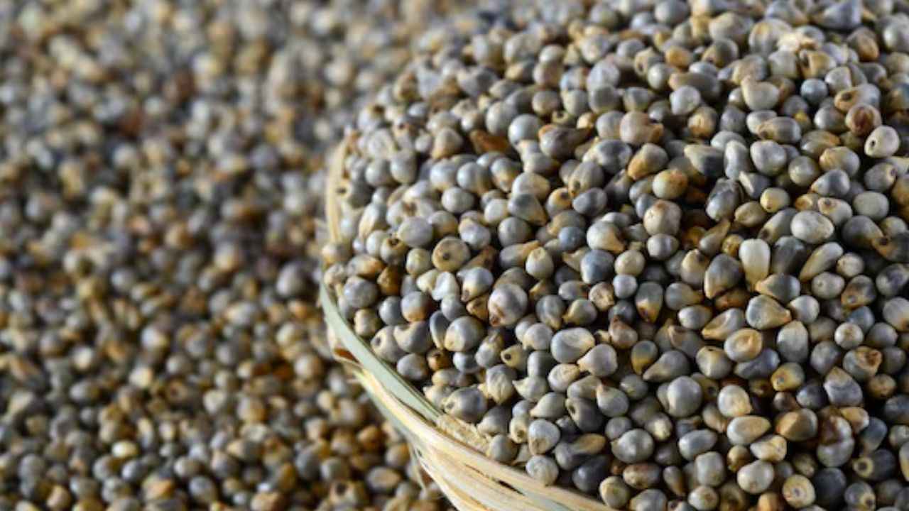 Millet Benefits: 30 दिनों तक गेहूं की जगह खाएं बाजरा, फिर देखें कमाल  