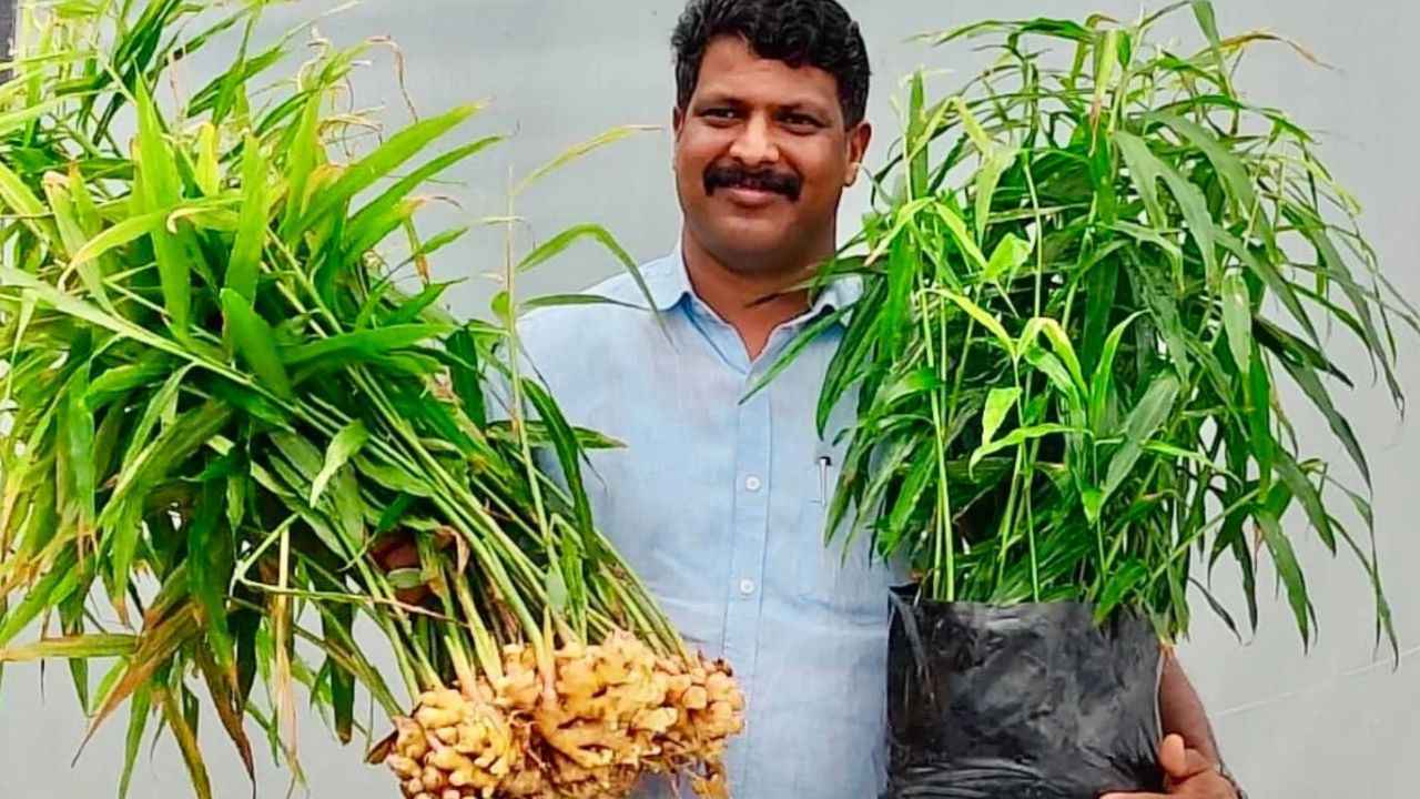 Success Story: बिना जमीन के खेती कर कमाए लाखों, पढ़ें वायनाड के किसान की सक्सेस स्टोरी